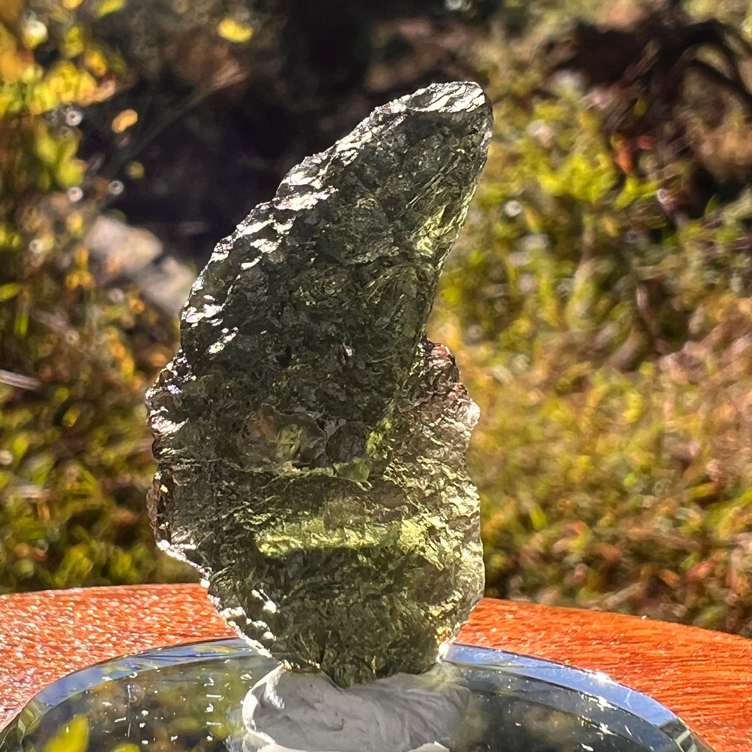 Moldavite 6.6 grams #2222-Moldavite Life