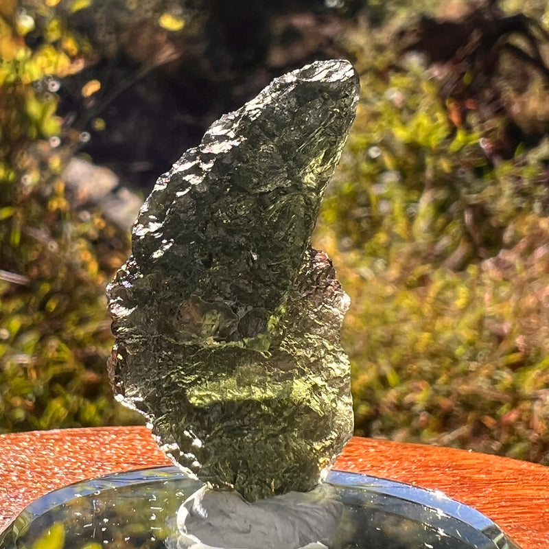 Moldavite 6.6 grams #2222-Moldavite Life