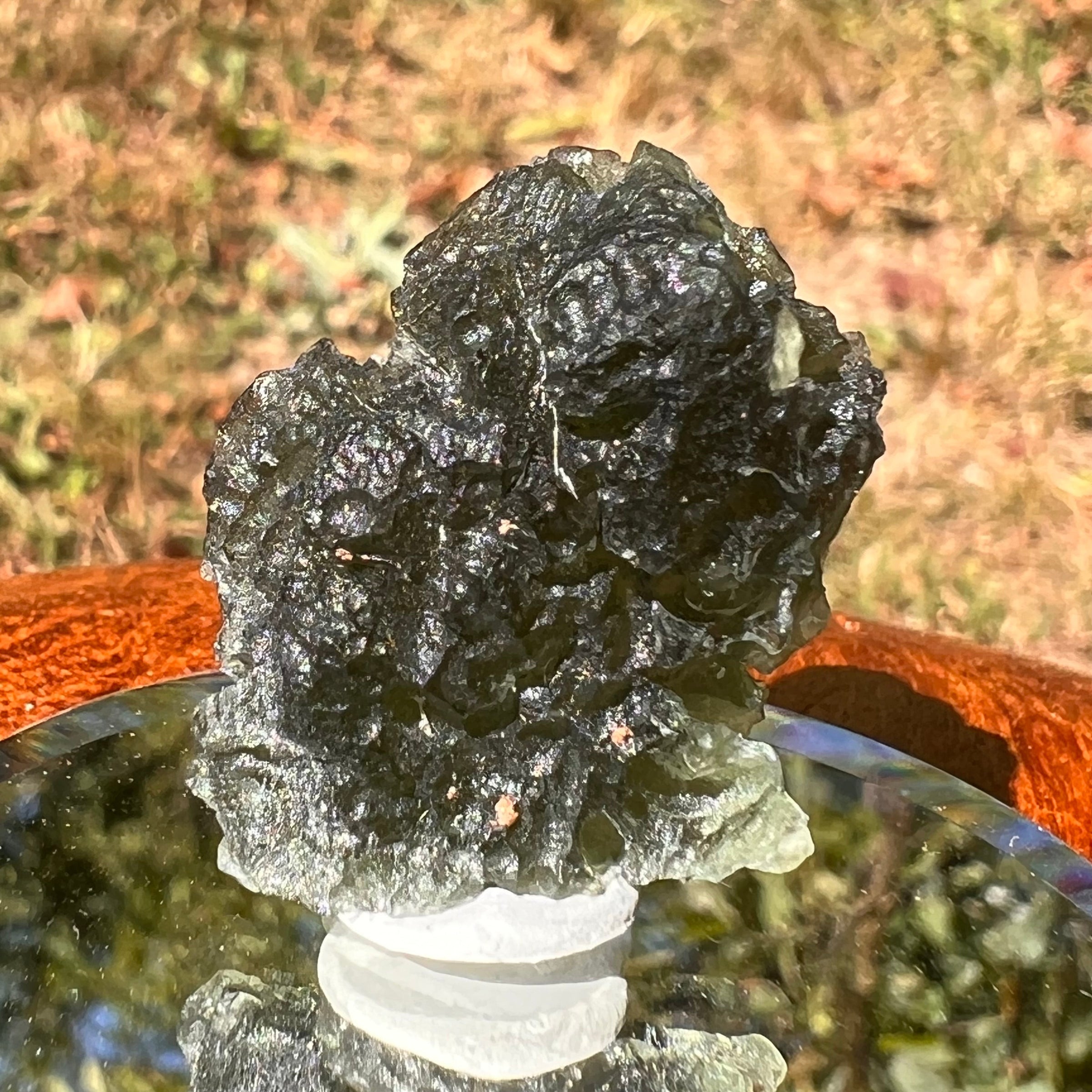 Moldavite 7.1 grams #1753-Moldavite Life