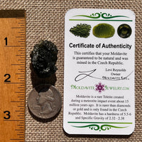 Moldavite 7.3 grams #2405-Moldavite Life
