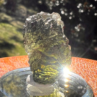 Moldavite 7.3 grams #2405-Moldavite Life