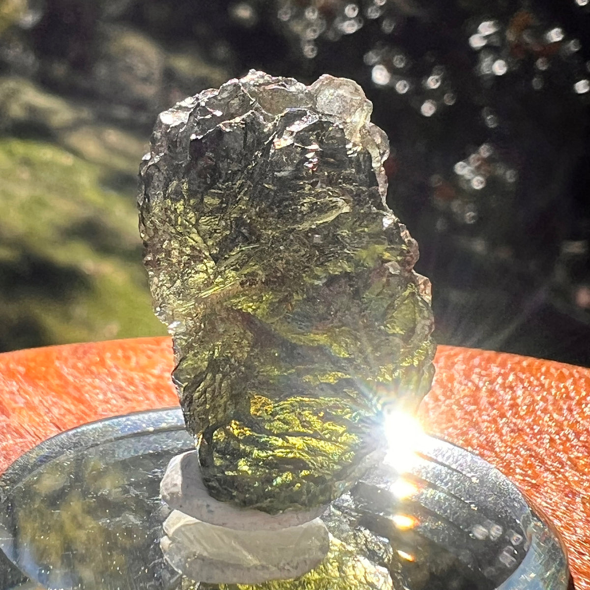 Moldavite 7.3 grams #2405-Moldavite Life