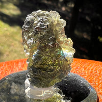 Moldavite 7.3 grams #2405-Moldavite Life