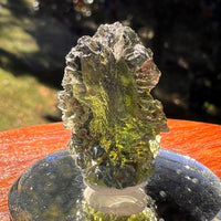 Moldavite 7.3 grams #2405-Moldavite Life