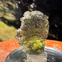 Moldavite 7.3 grams #2405-Moldavite Life