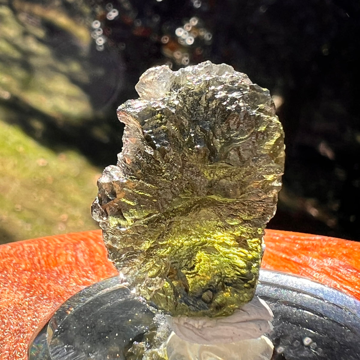 Moldavite 7.3 grams #2405-Moldavite Life