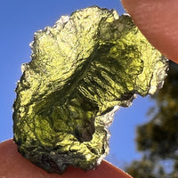 Moldavite 7.3 grams #2405-Moldavite Life