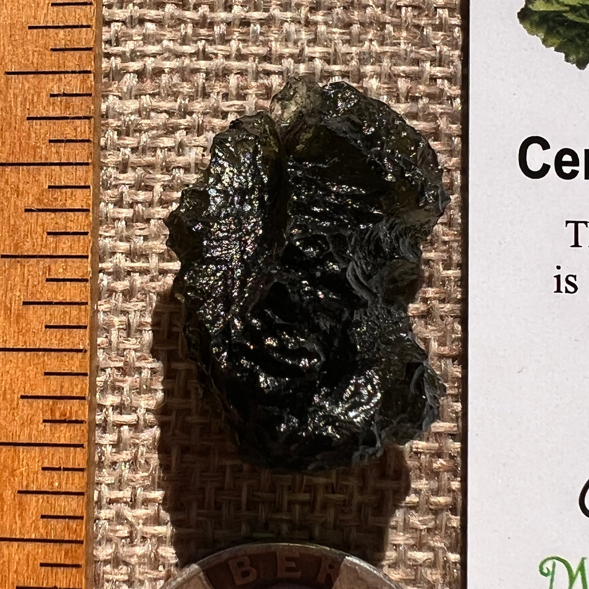 Moldavite 7.3 grams #2405-Moldavite Life