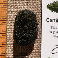 Moldavite 7.3 grams #2405-Moldavite Life