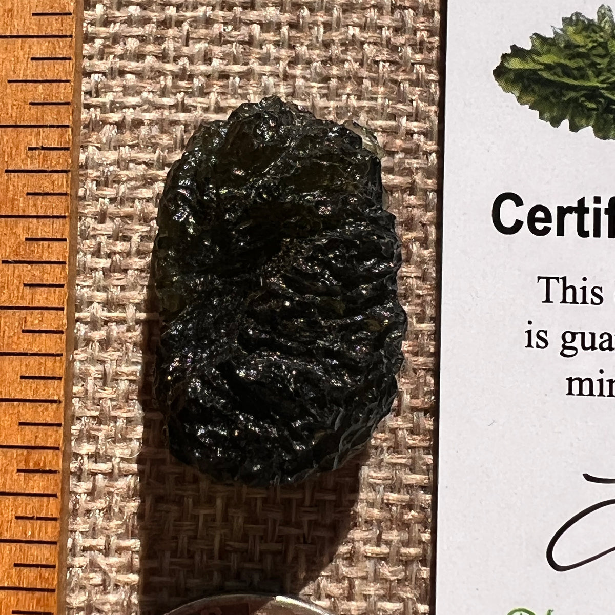 Moldavite 7.3 grams #2405-Moldavite Life