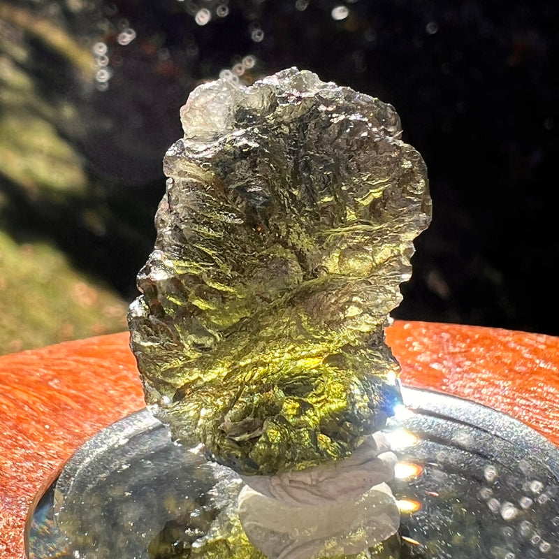 Moldavite 7.3 grams #2405-Moldavite Life