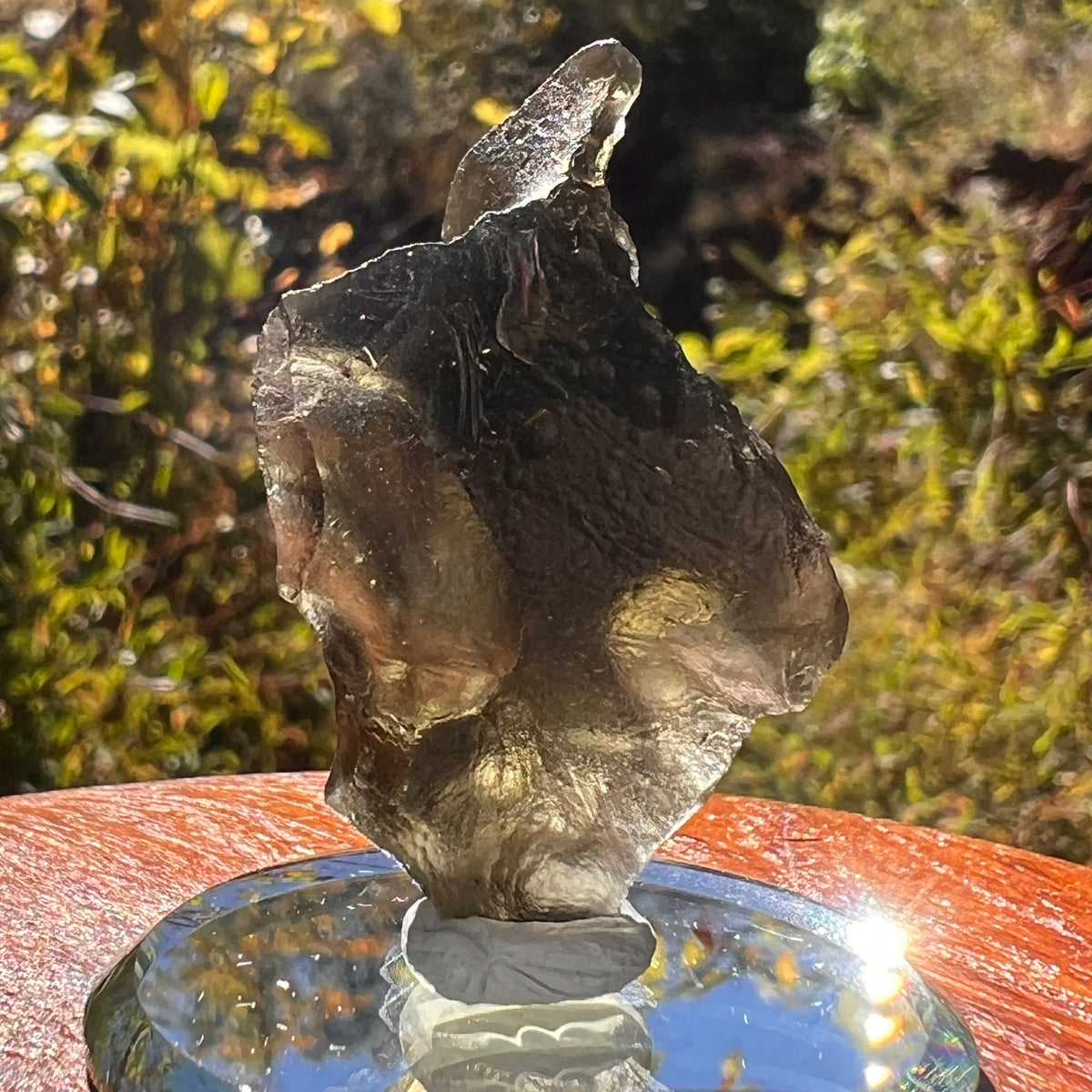 Moldavite 8.5 grams #2324-Moldavite Life