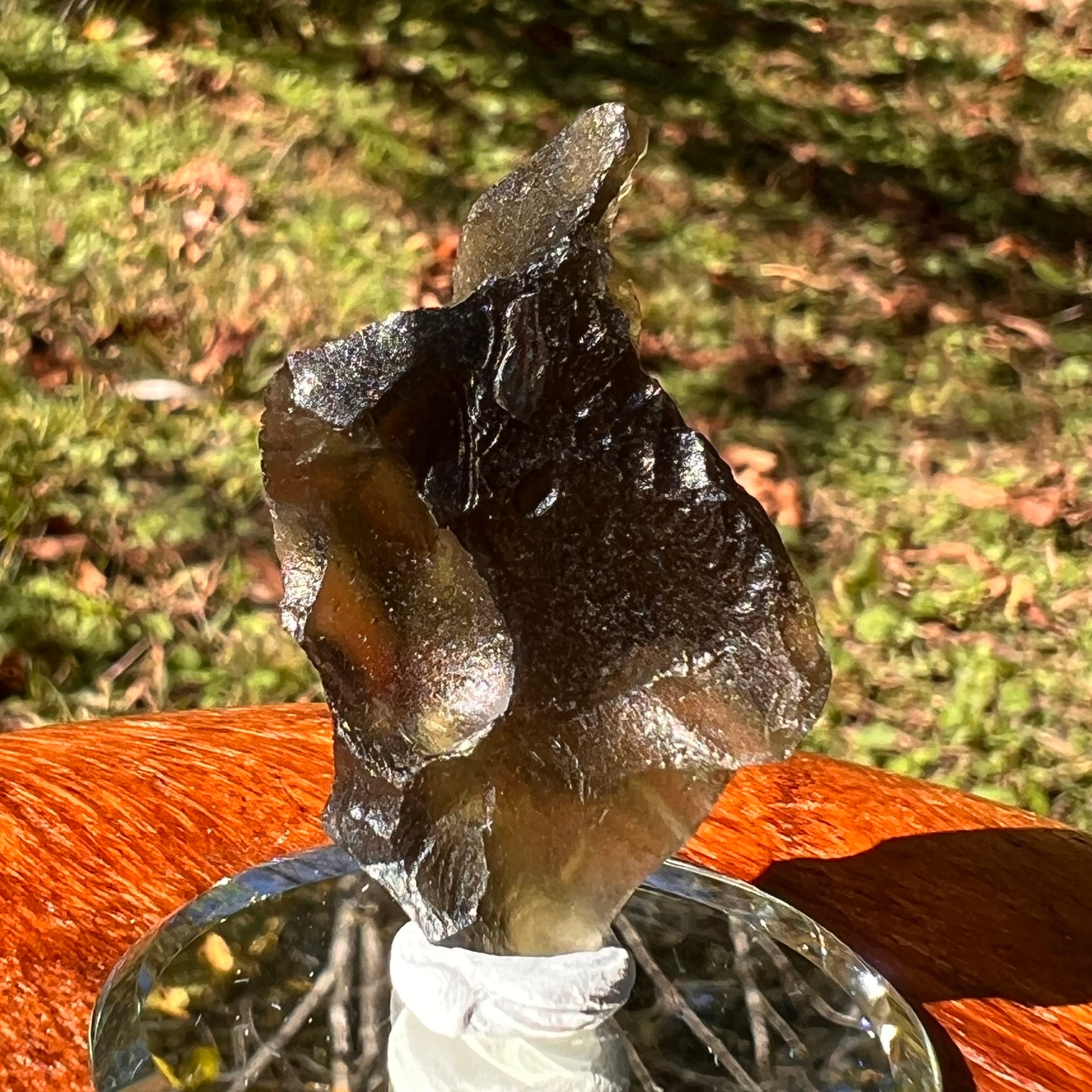 Moldavite 8.5 grams #2324-Moldavite Life