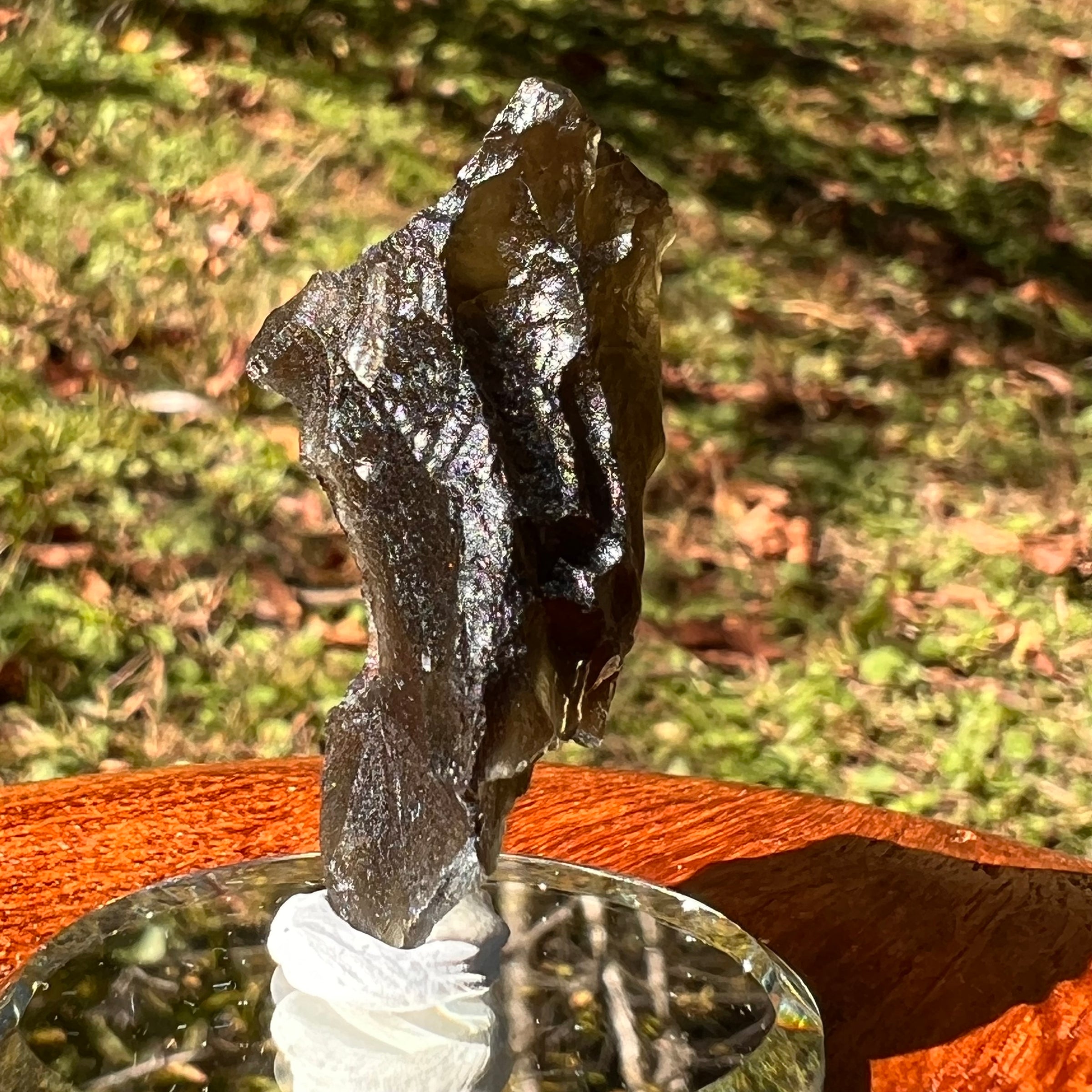 Moldavite 8.5 grams #2324-Moldavite Life