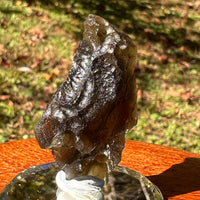 Moldavite 8.5 grams #2324-Moldavite Life