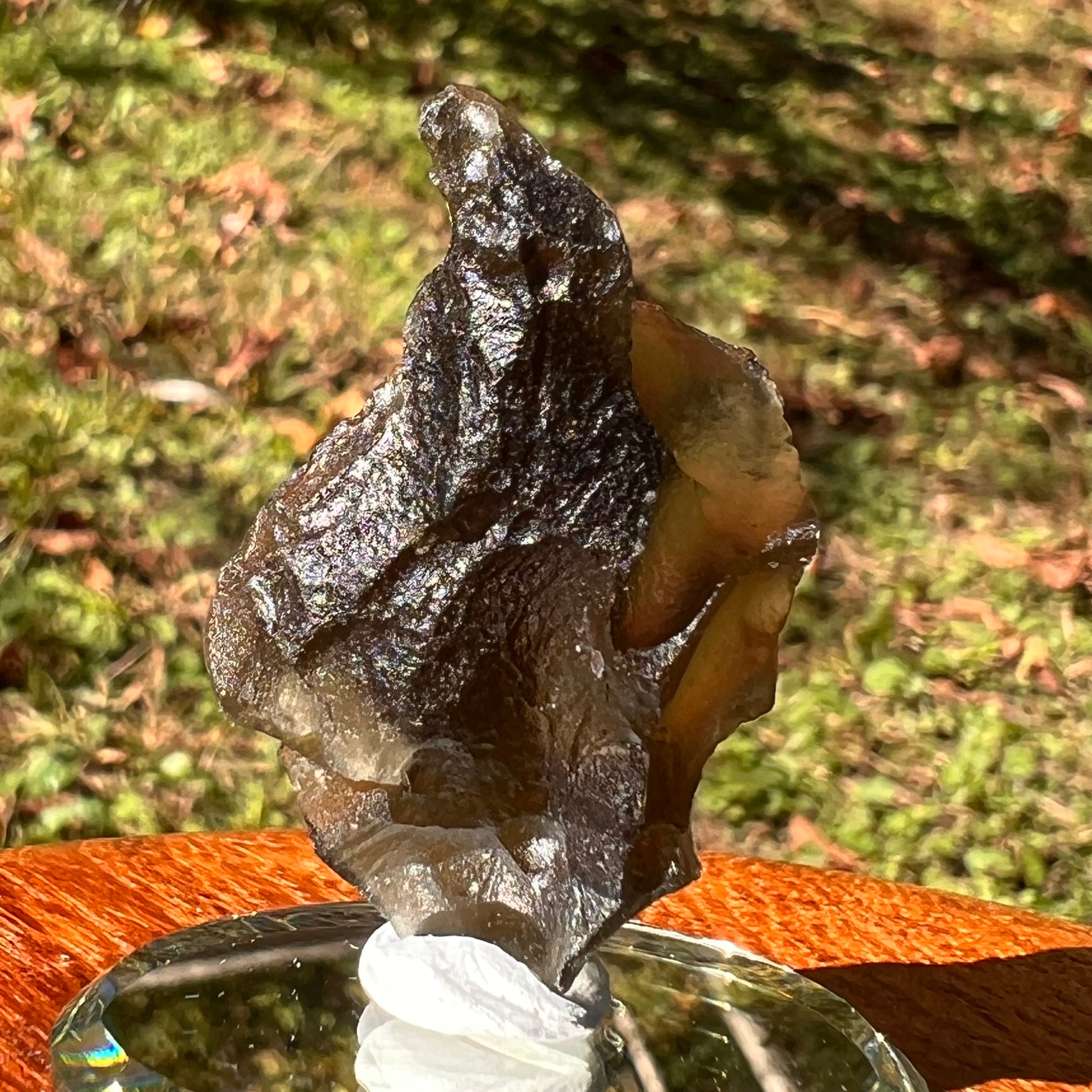 Moldavite 8.5 grams #2324-Moldavite Life