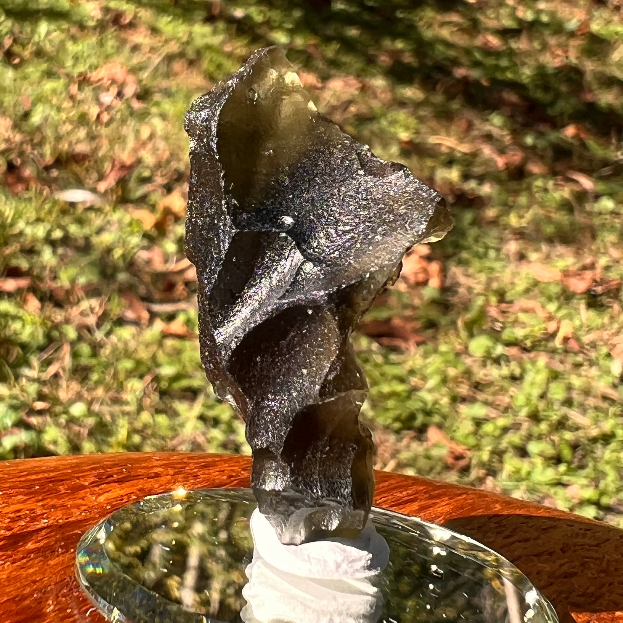 Moldavite 8.5 grams #2324-Moldavite Life