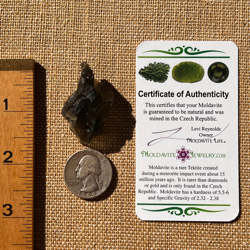 Moldavite 8.5 grams #2324-Moldavite Life