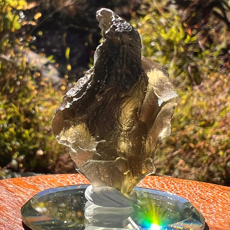 Moldavite 8.5 grams #2324-Moldavite Life