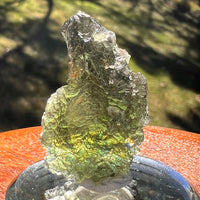 Moldavite 9.3 grams #2407-Moldavite Life