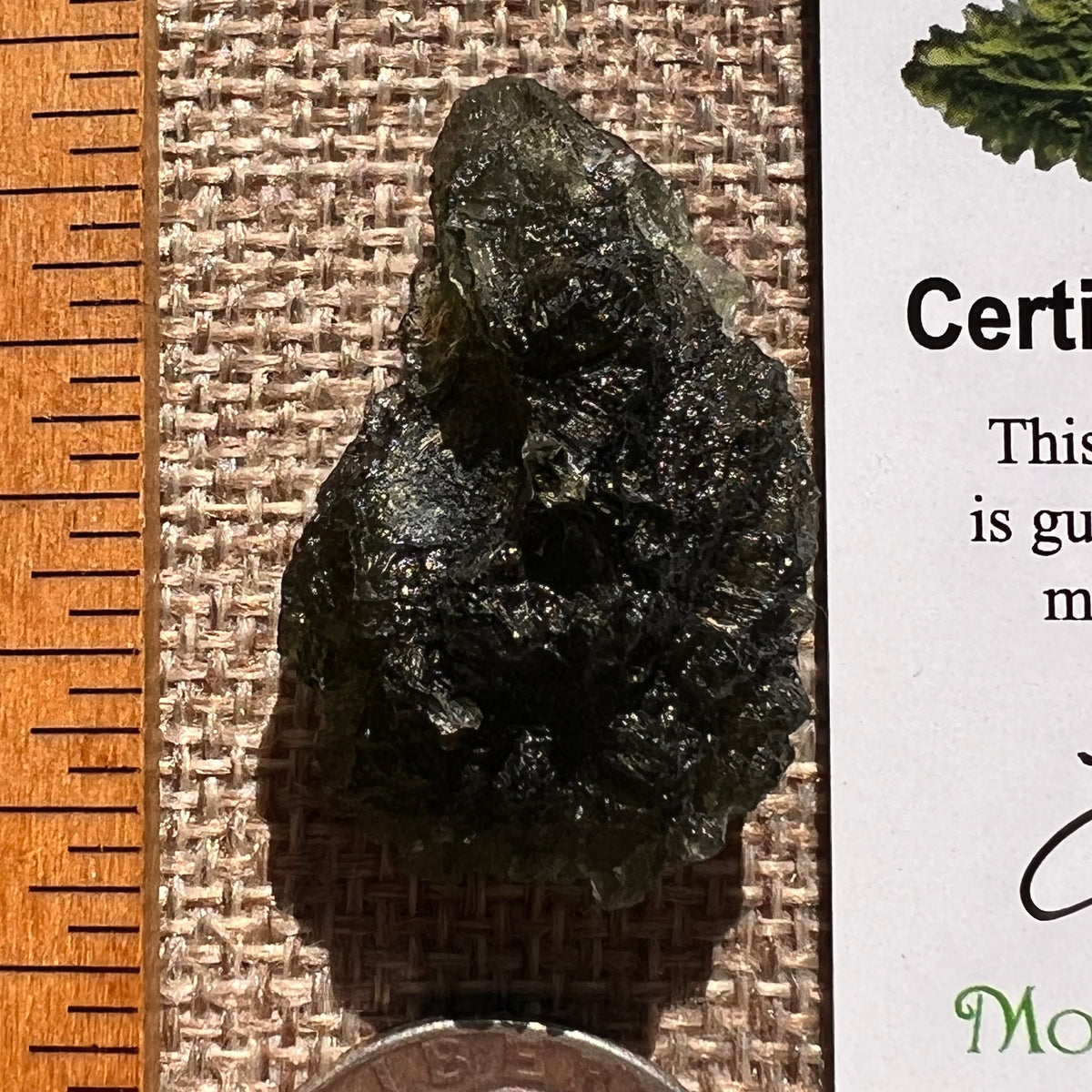 Moldavite 9.3 grams #2407-Moldavite Life