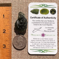 Moldavite 9.3 grams #2407-Moldavite Life