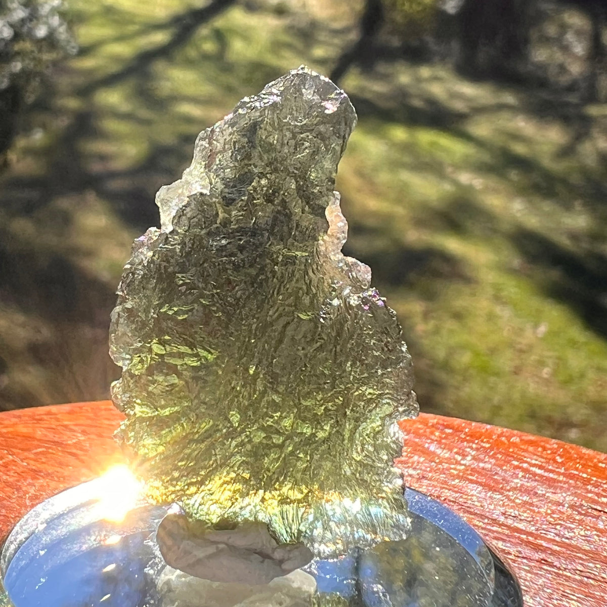 Moldavite 9.3 grams #2407-Moldavite Life