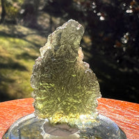 Moldavite 9.3 grams #2407-Moldavite Life
