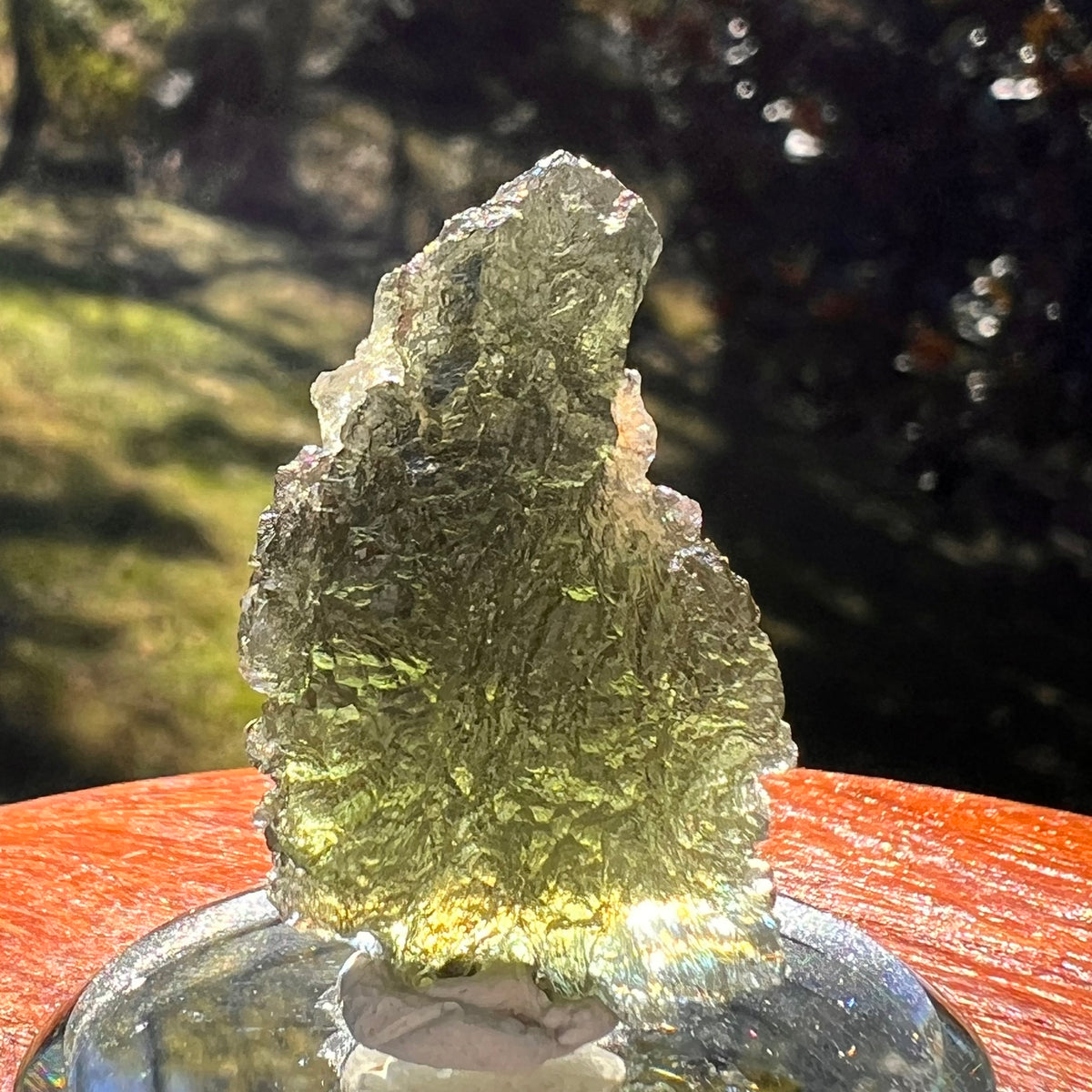 Moldavite 9.3 grams #2407-Moldavite Life