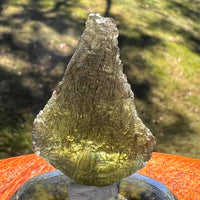 Moldavite 9.4 grams #2406-Moldavite Life