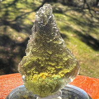 Moldavite 9.4 grams #2406-Moldavite Life