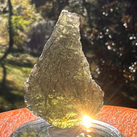 Moldavite 9.4 grams #2406-Moldavite Life