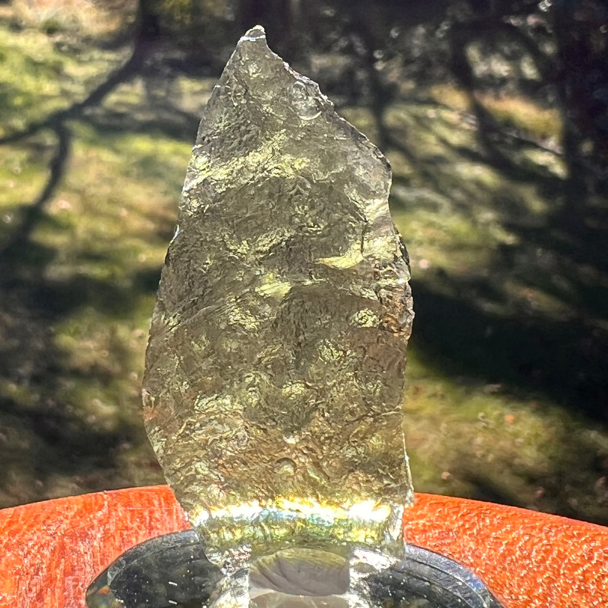 Moldavite 9.5 grams #2409-Moldavite Life