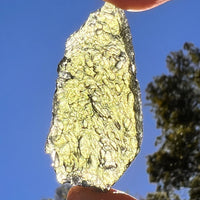 Moldavite 9.5 grams #2409-Moldavite Life