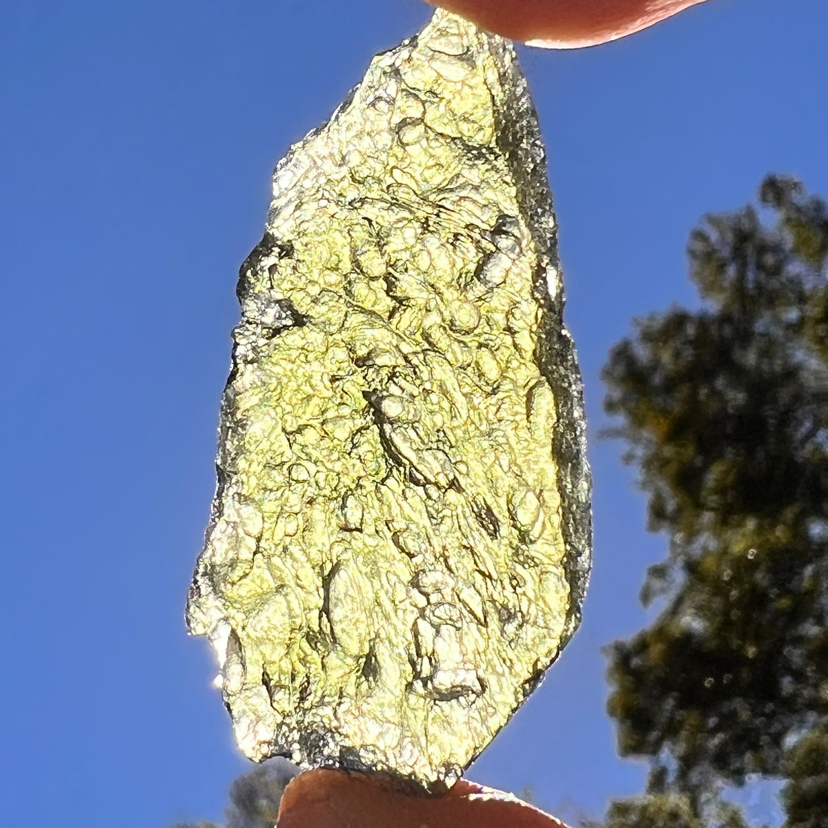 Moldavite 9.5 grams #2409-Moldavite Life