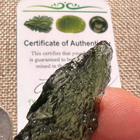 Moldavite 9.5 grams #2409-Moldavite Life