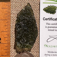 Moldavite 9.5 grams #2409-Moldavite Life