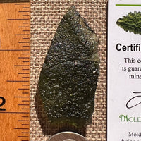 Moldavite 9.5 grams #2409-Moldavite Life