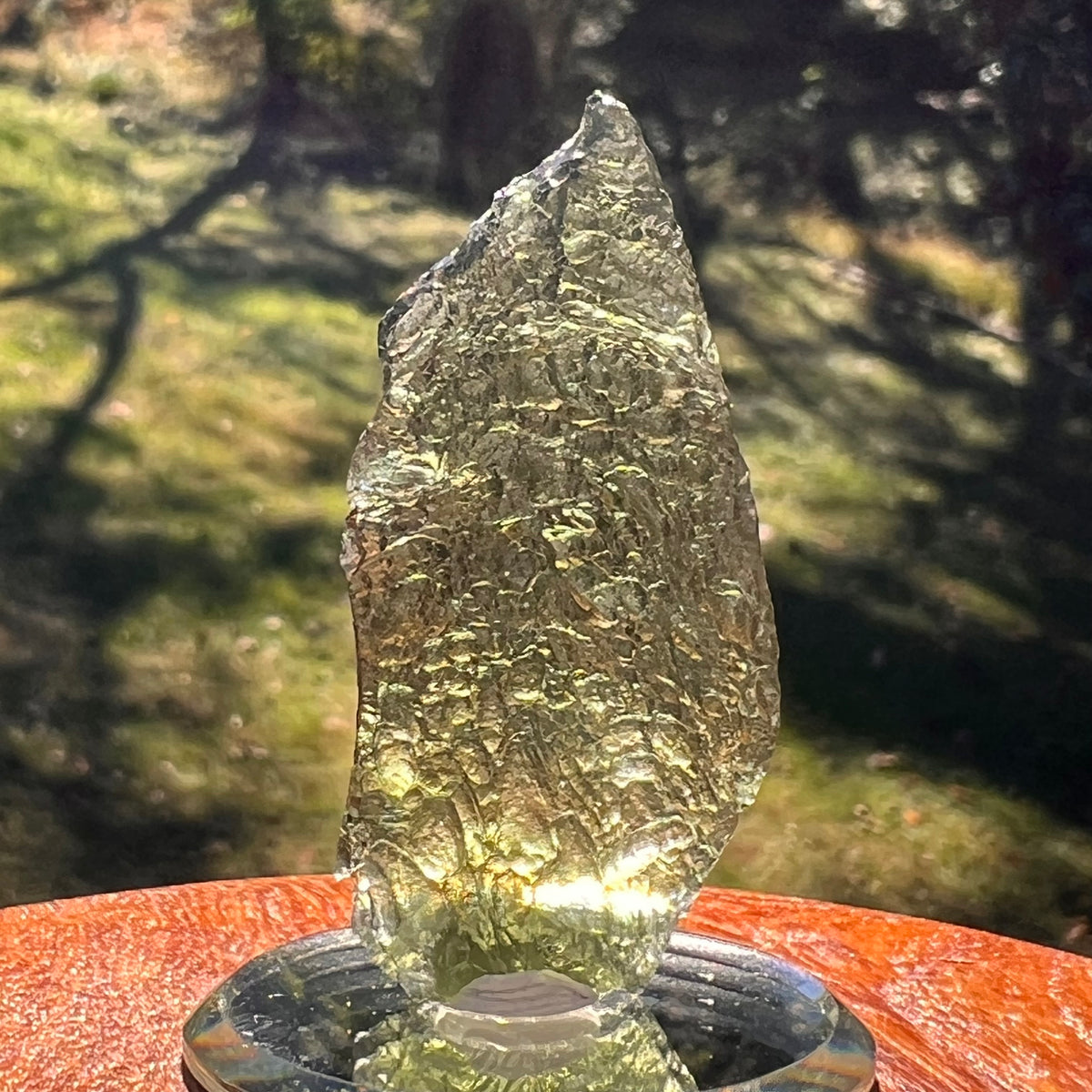 Moldavite 9.5 grams #2409-Moldavite Life