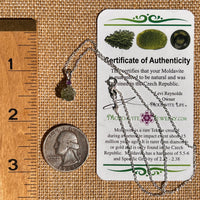 Moldavite & Amethyst Necklace Sterling #7265-Moldavite Life