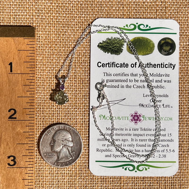 Moldavite & Amethyst Necklace Sterling #7266-Moldavite Life