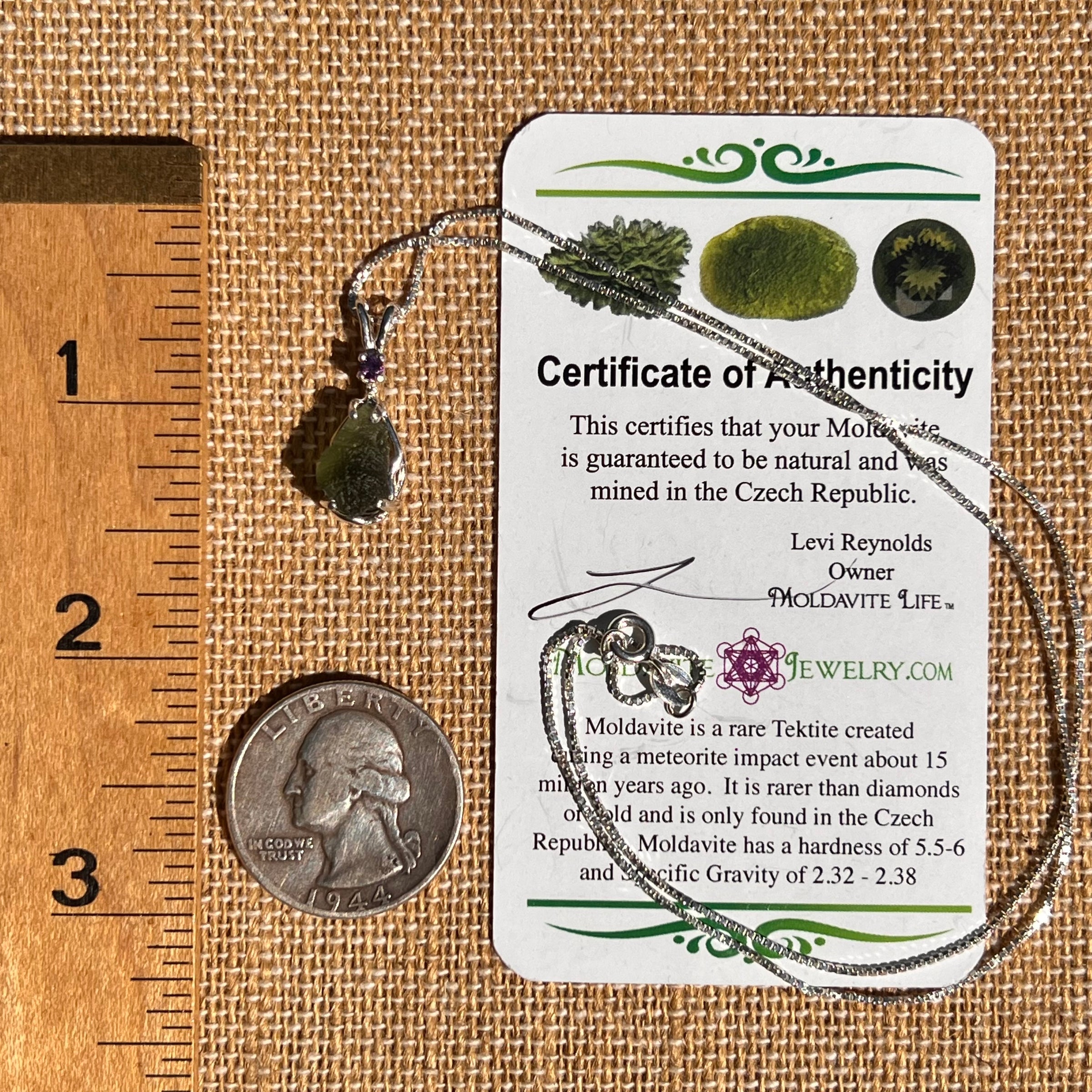 Moldavite & Amethyst Necklace Sterling #7268-Moldavite Life