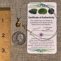 Moldavite & Citrine Necklace Sterling Silver #8492-Moldavite Life