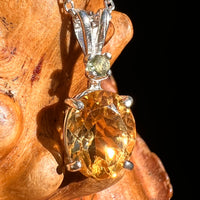 Moldavite & Citrine Necklace Sterling Silver #8494-Moldavite Life