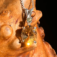 Moldavite & Citrine Necklace Sterling Silver #8494-Moldavite Life