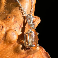 Moldavite & Citrine Necklace Sterling Silver #8495-Moldavite Life