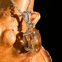 Moldavite & Citrine Necklace Sterling Silver #8496-Moldavite Life