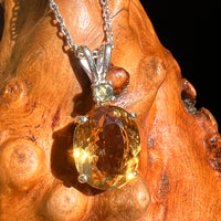 Moldavite & Citrine Necklace Sterling Silver #8496-Moldavite Life
