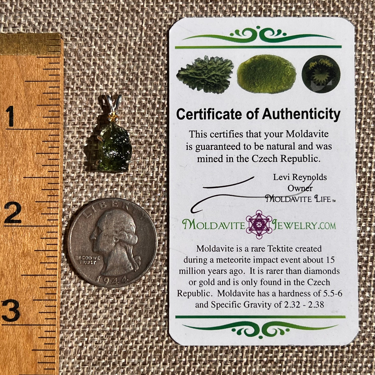Moldavite & Citrine Necklace Sterling Silver #8793-Moldavite Life