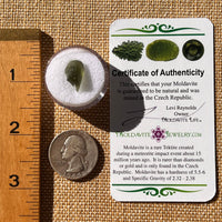 Moldavite Horse Hove Shape 0.8 grams #2263-Moldavite Life